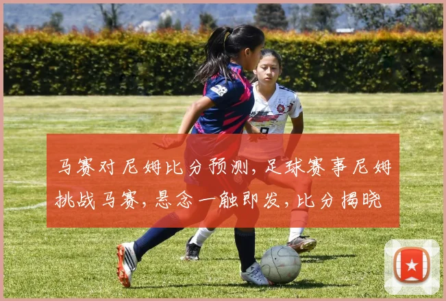 马赛对尼姆比分预测,足球赛事尼姆挑战马赛,悬念一触即发,比分揭晓